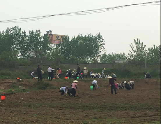 pc电子麻将胡了-(中国游)有限公司