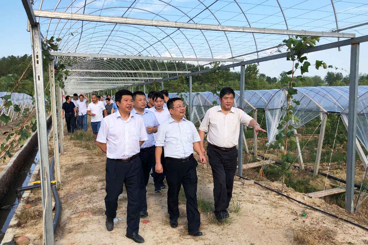 pc电子麻将胡了-(中国游)有限公司