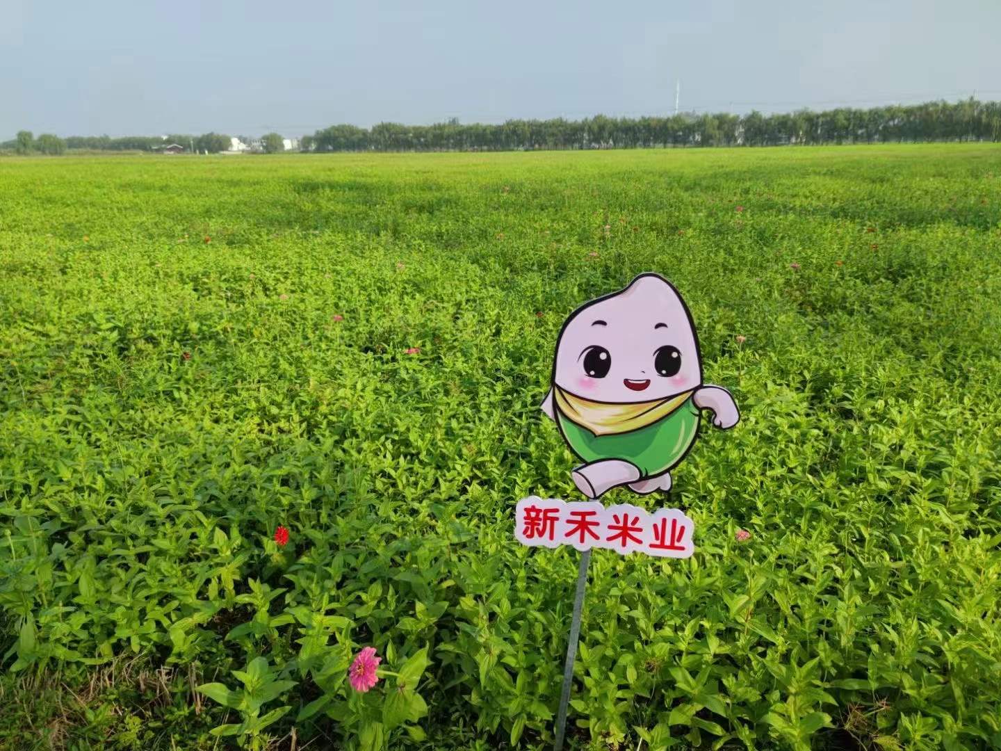pc电子麻将胡了-(中国游)有限公司